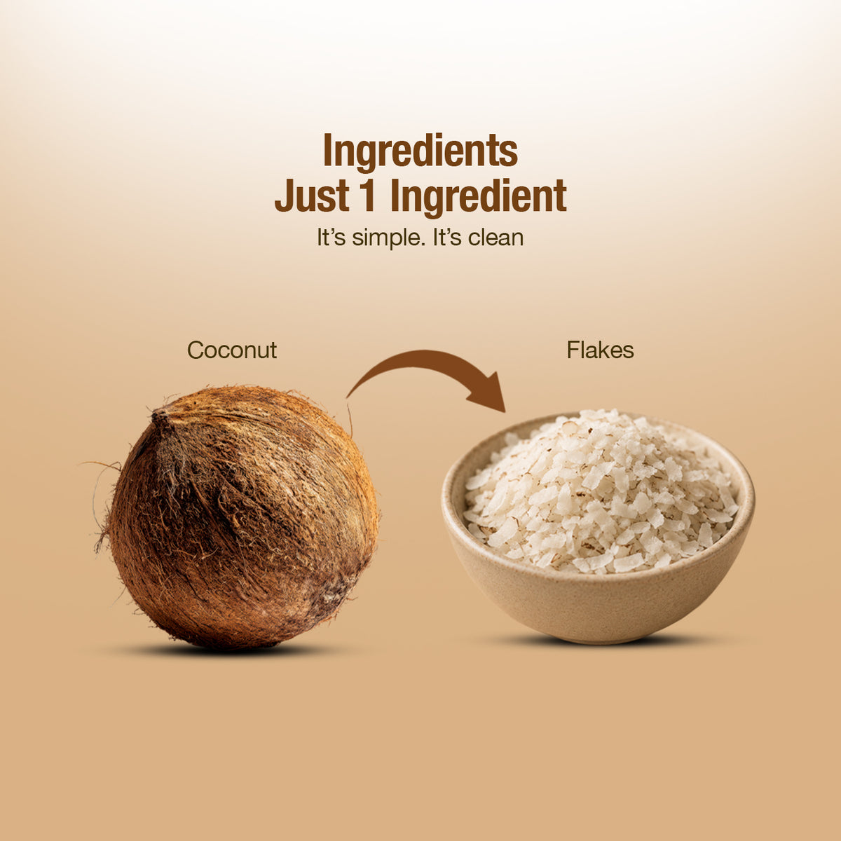 Coconut Flakes - 100g