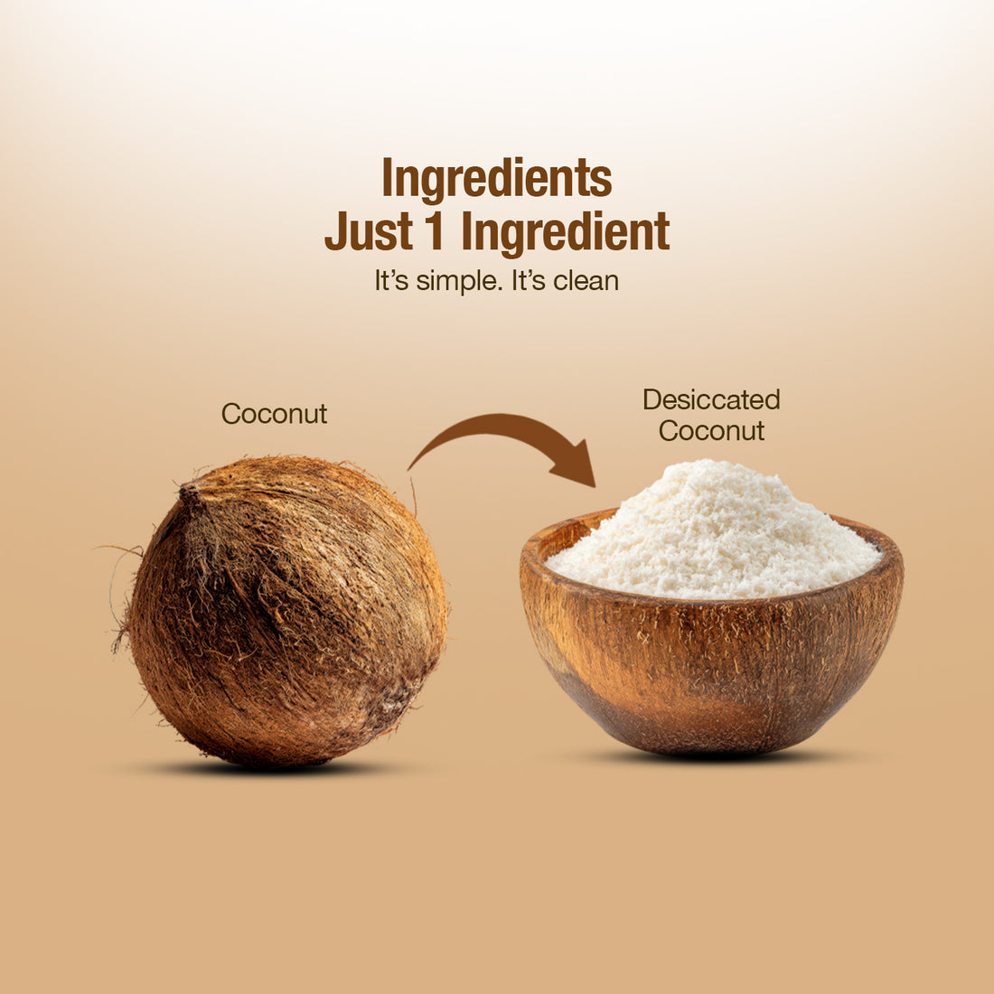 Desiccated Coconut Powder