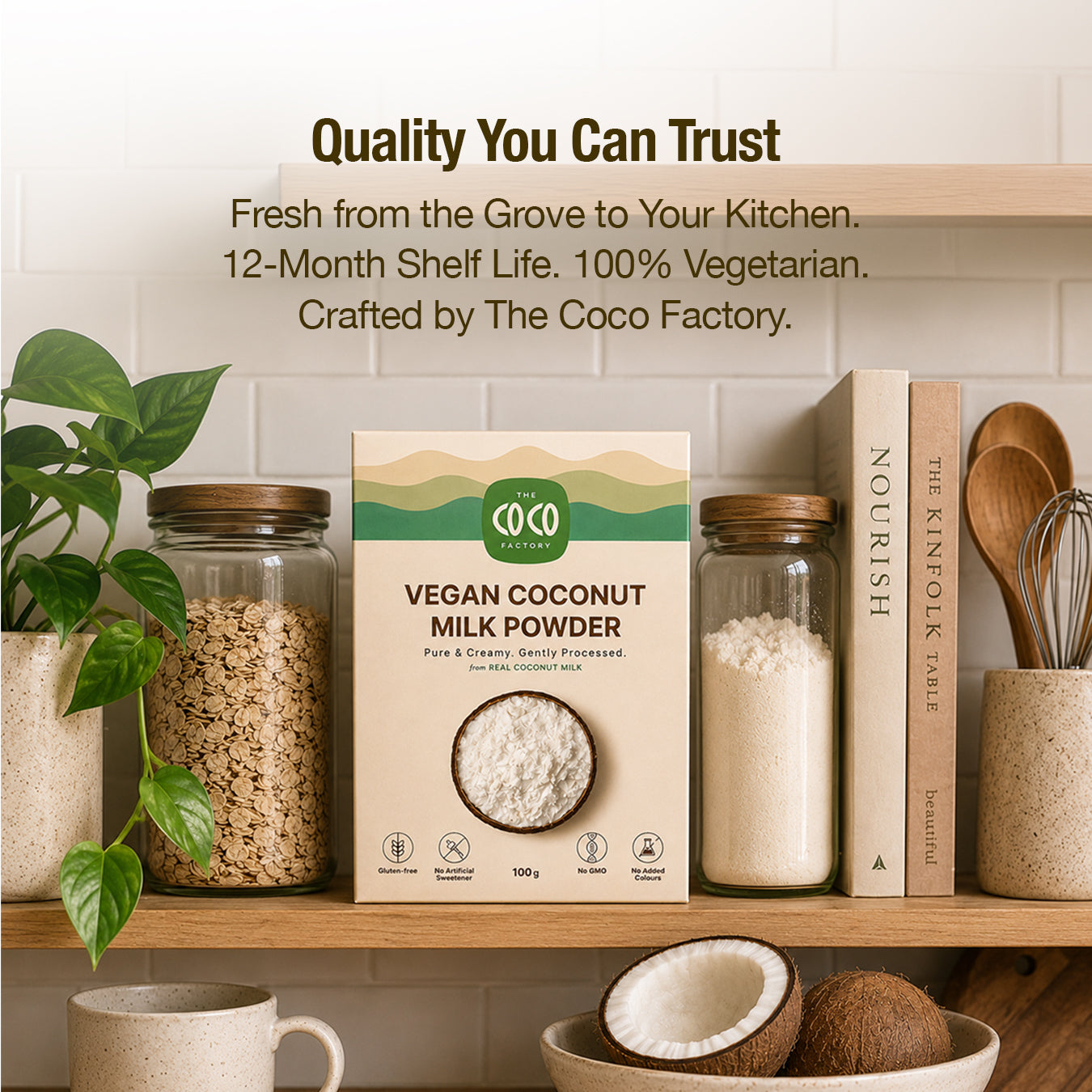 Vegan Coconut Milk Powder